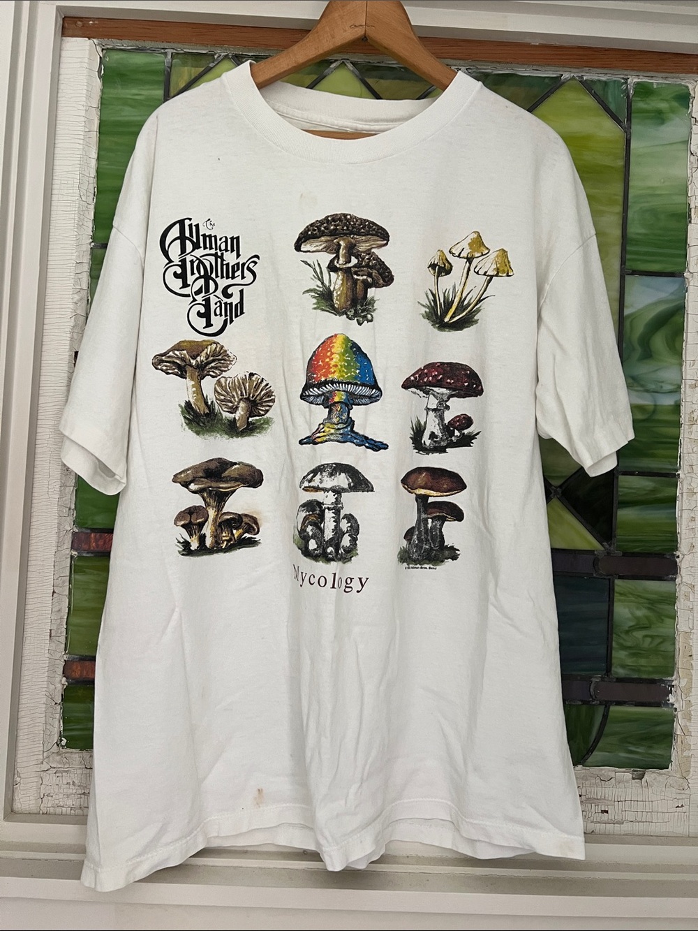 VTG 1996 Allman Brothers Concert Tour 'Mycology' Mushroom Graphic Tee